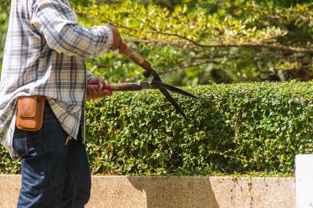 Garden Maintenance Downside, Cobham, Stoke d'Abernon, KT11